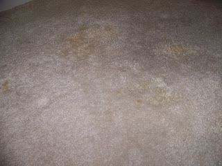 how to clean ink stained money