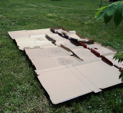 how to break down weed