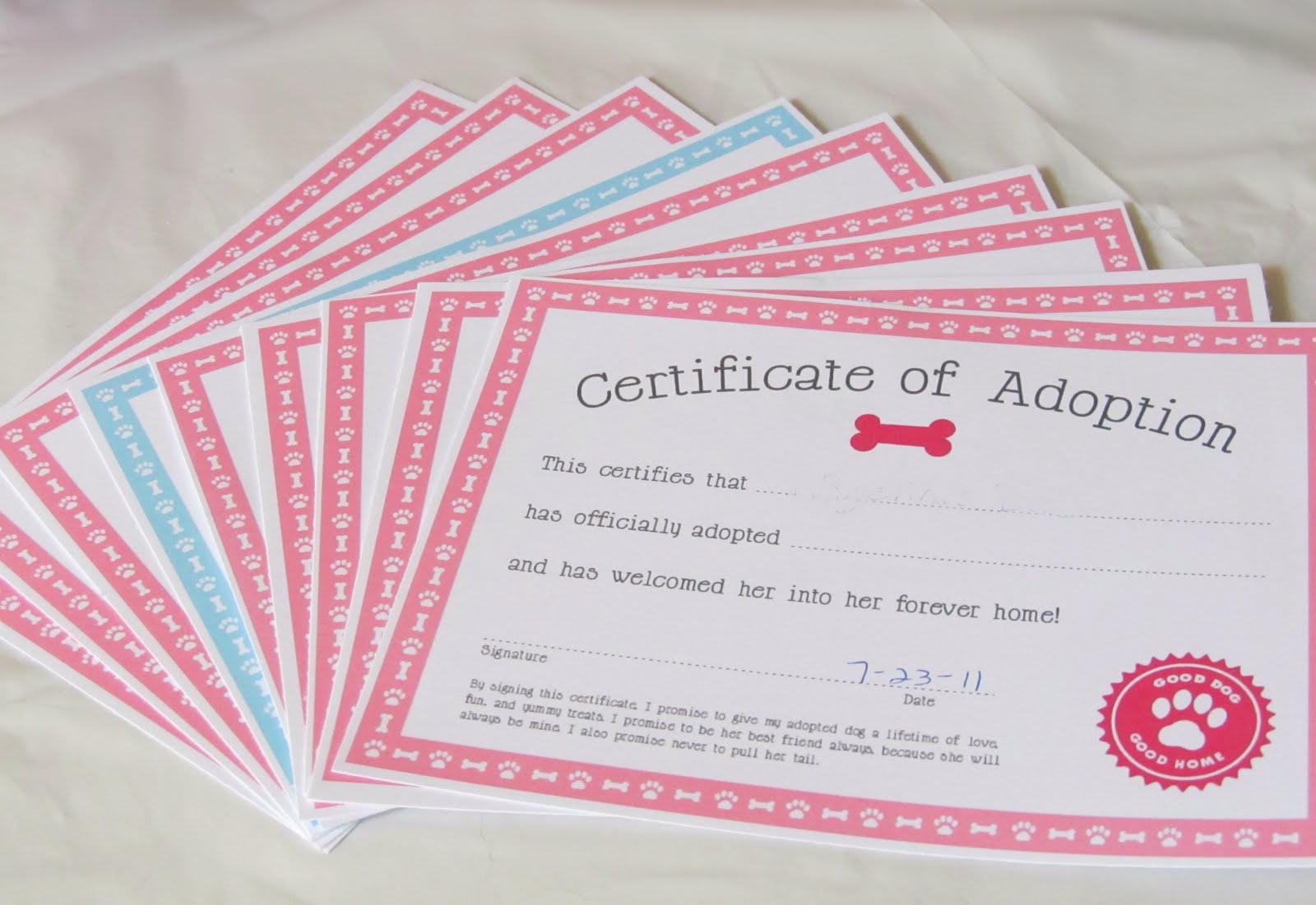 how to live with a neurotic dog free pdf download