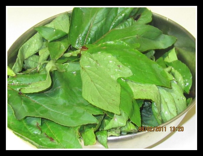 how to cook sorrel leaves