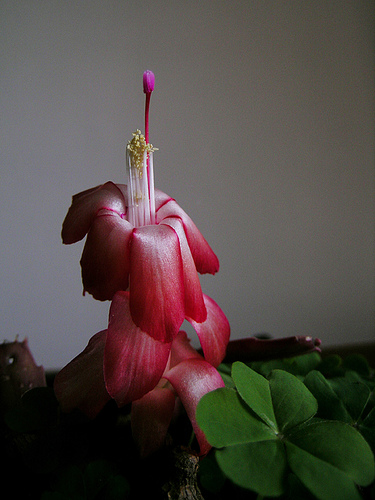 how to draw a melted candle