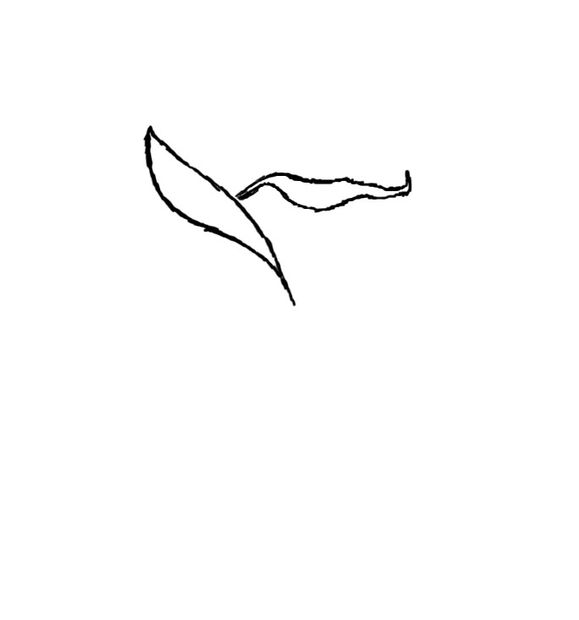 how to draw a red rose