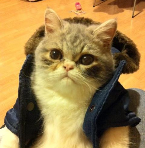 how to become enlightened reddit