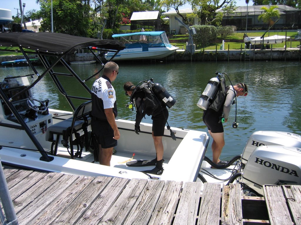 how to become a marine animal rescuer