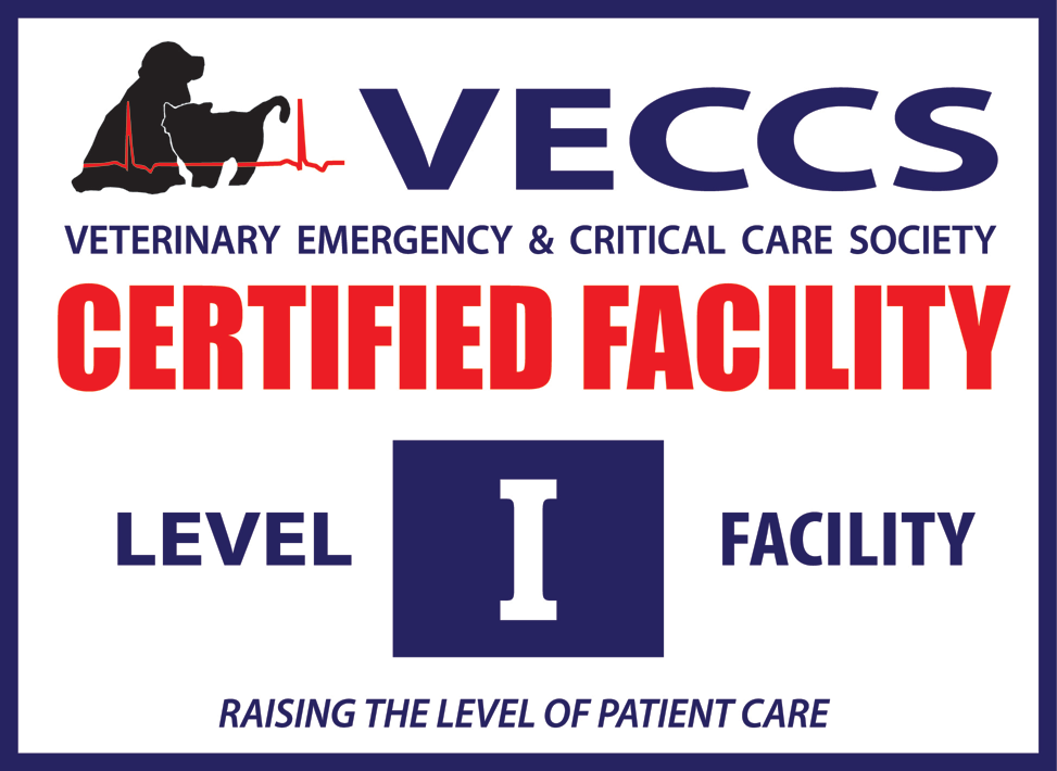 how to become a vet at college level