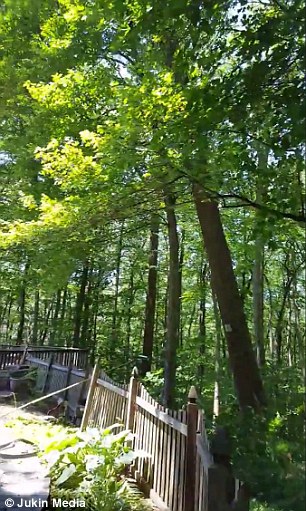 how to cut down a tree leaning the wrong way