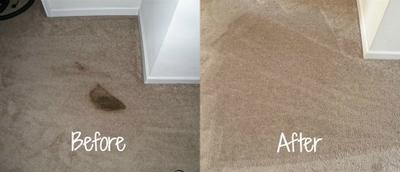 how to clean spots out of carpet