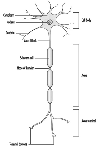 how to build an led equalizer