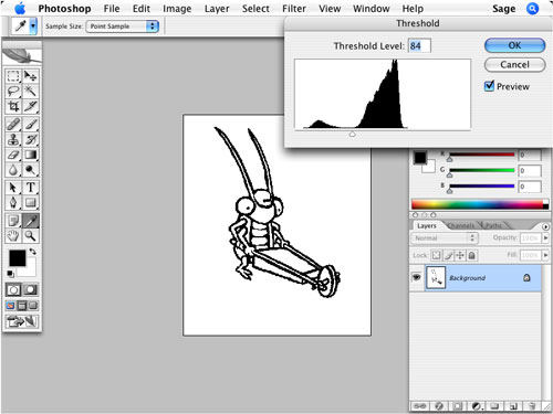 how to bring new picture on adobe