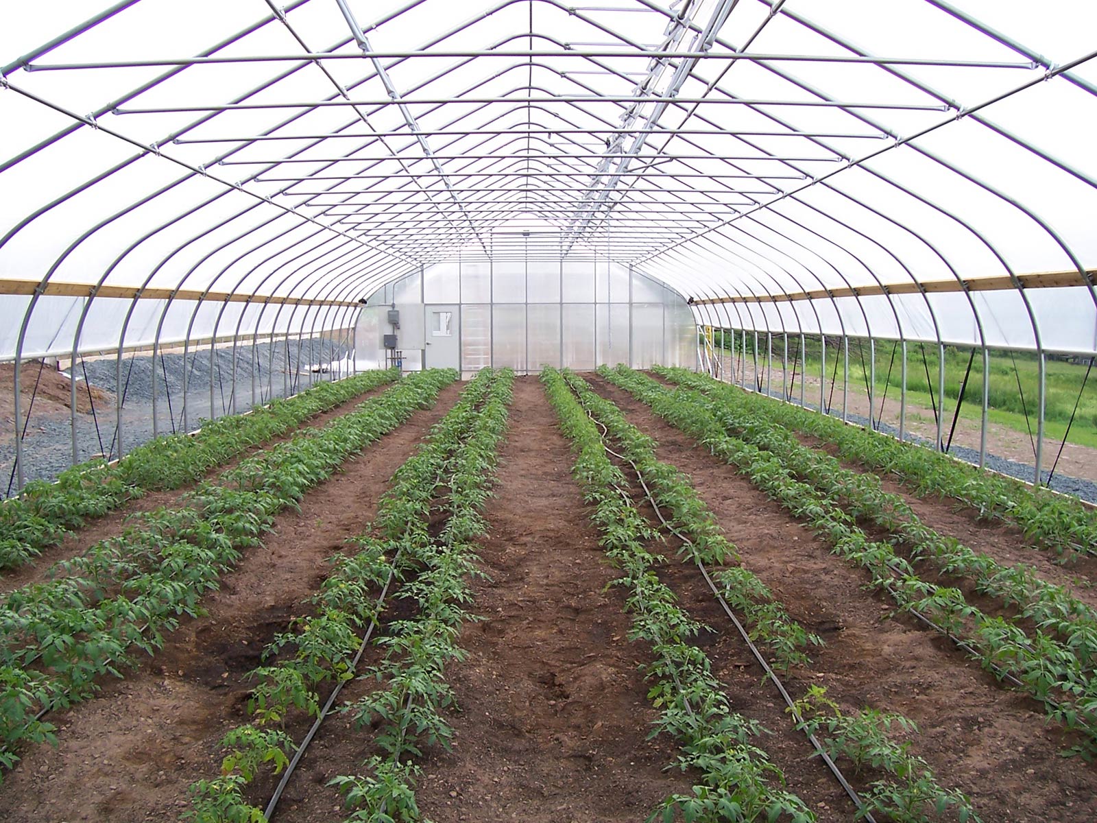 how to build a tunnel greenhouse