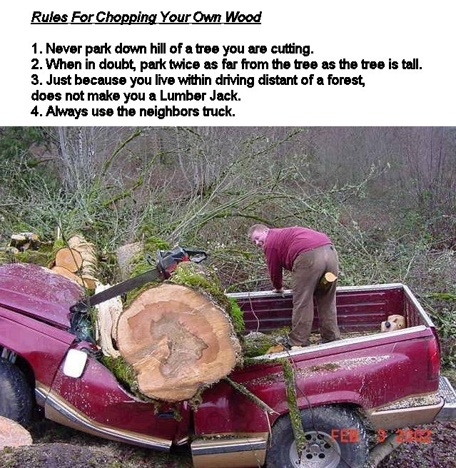 how to cut down a tree leaning the wrong way