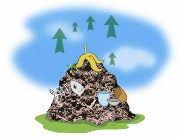 how to clean a bullfrog