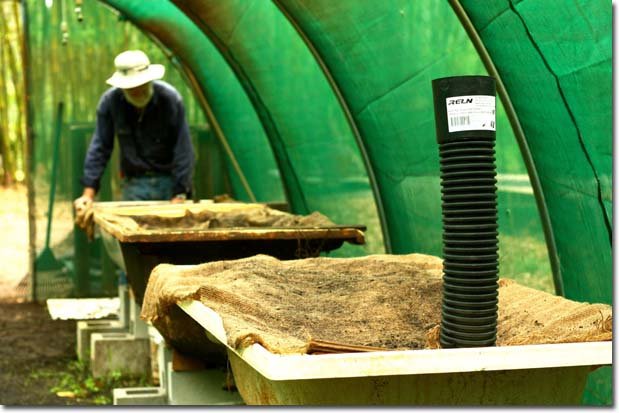 how to build a commercial worm farm