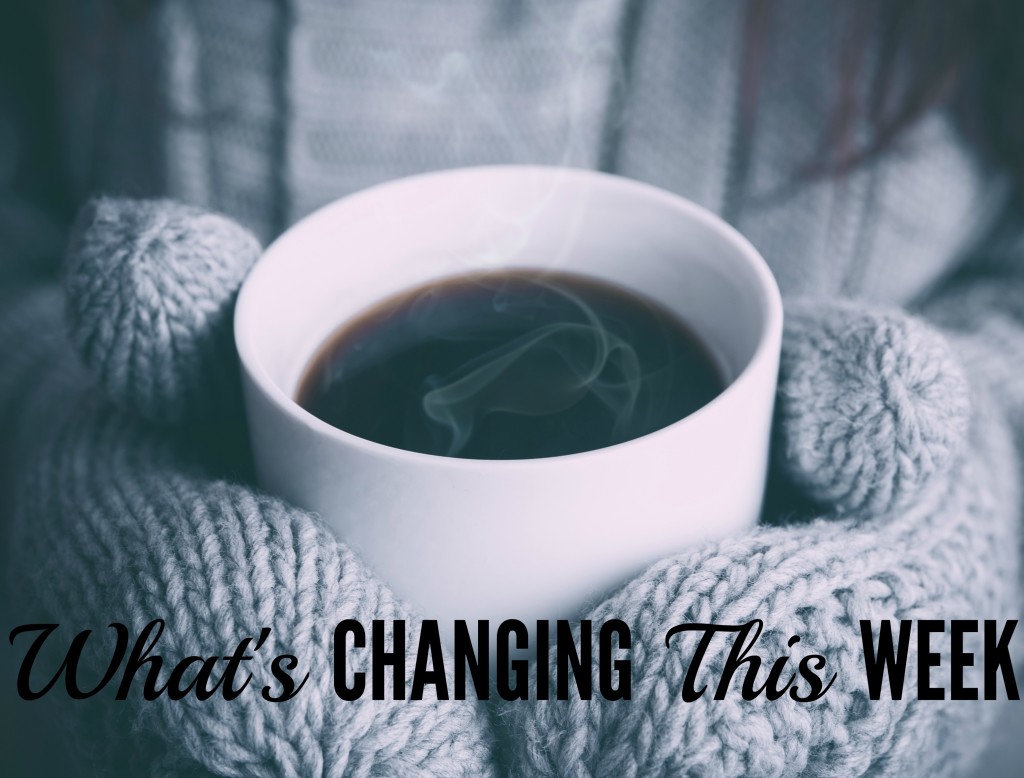 how to change twitter email